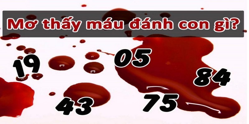 Mơ Thấy Máu Đánh Con Gì