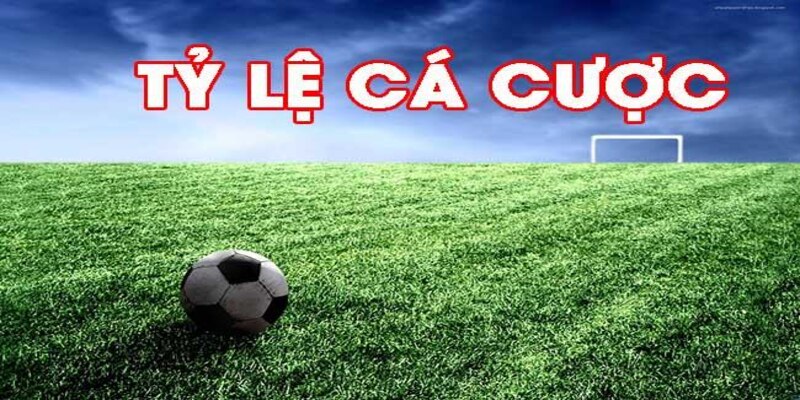Tỷ Lệ Cá Cược Nhà Cái
