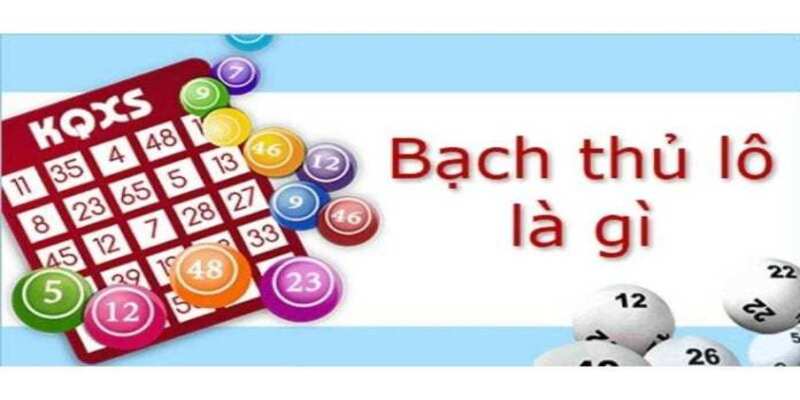 Bạch Thủ Lô Là Gì