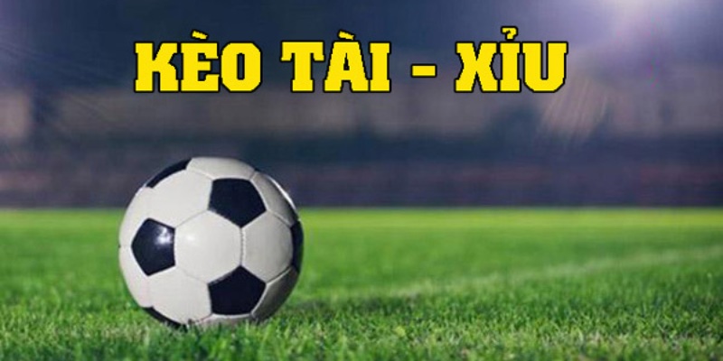 Cơ hội kiếm lợi nhuận cao khi chơi bóng đá tài xỉu