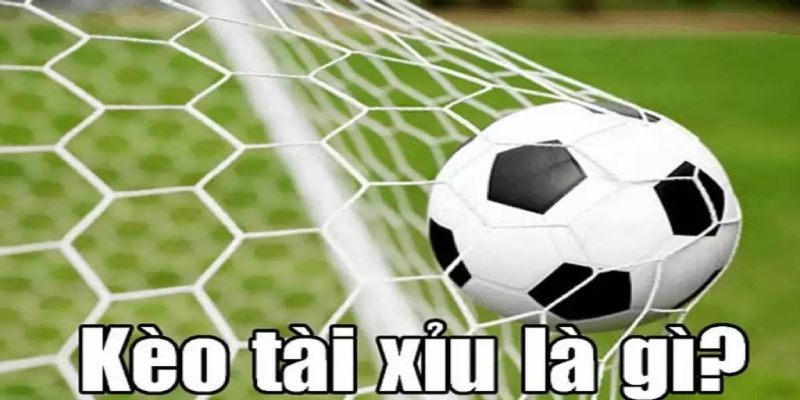Giới thiệu thuật ngữ soi kèo bóng đá tài xỉu 
