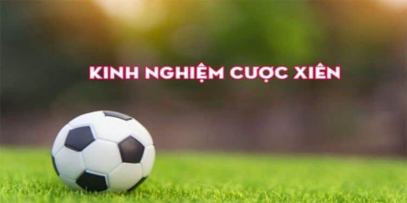 Kinh nghiệm soi kèo xiên các cược thủ nên biết