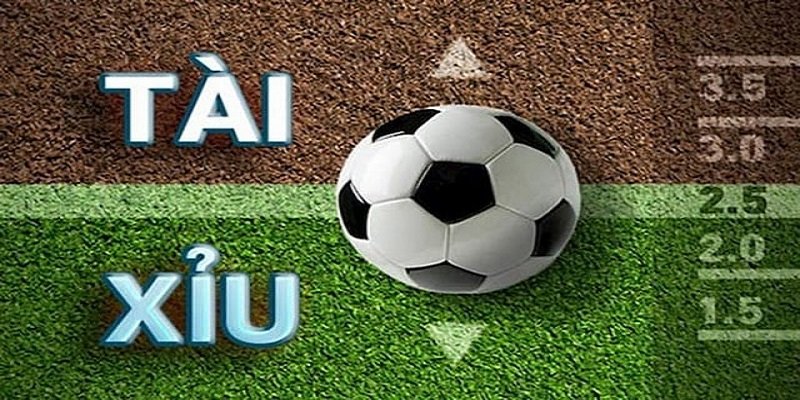 Soi Kèo Tài Xỉu
