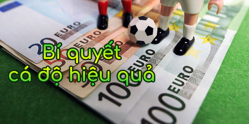 Mách bạn những bí kíp chơi cá cược bóng đá luôn thắng